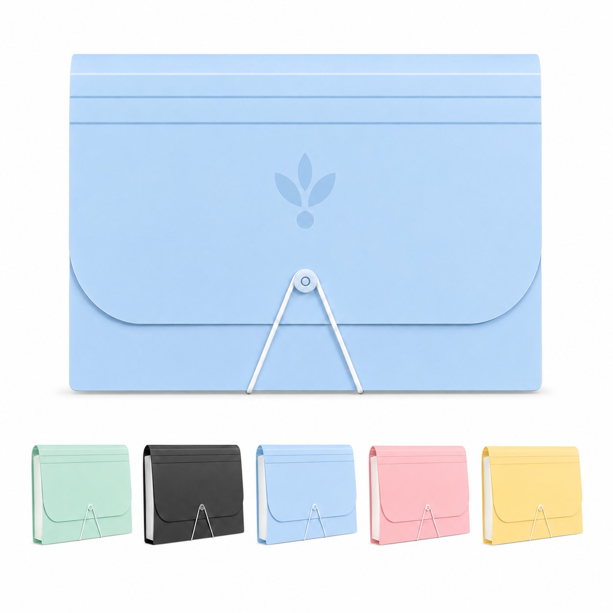 A6 Polypropylene Accordion Ticket File Bag
