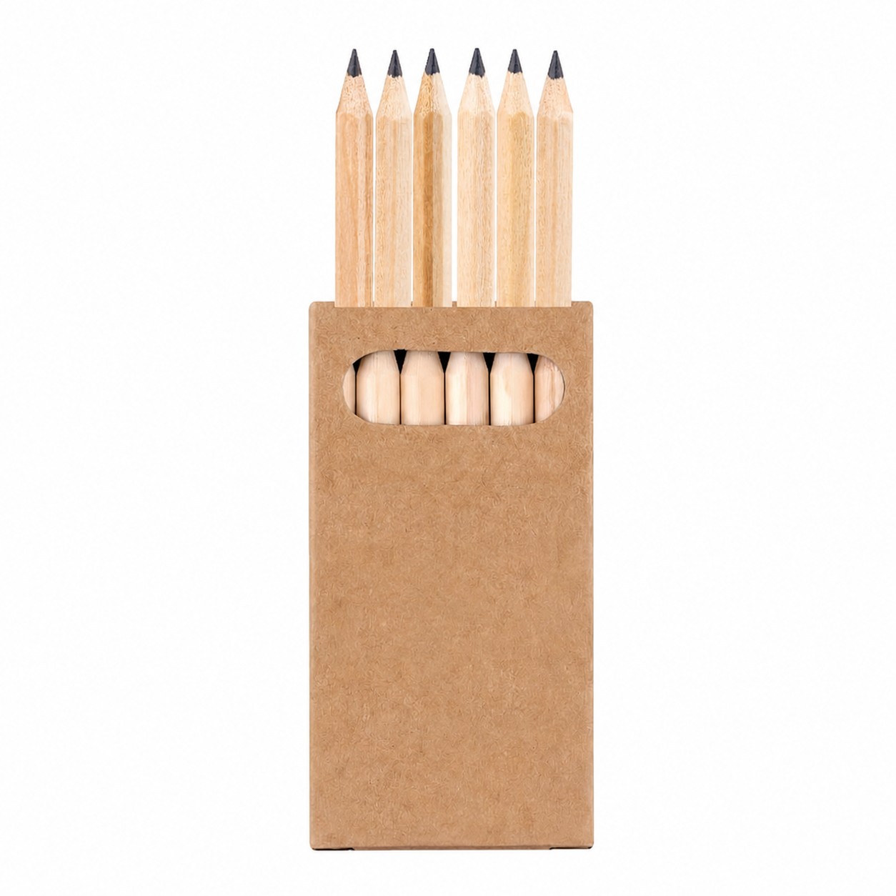 Mini Wood Colored Pencil Set — Black