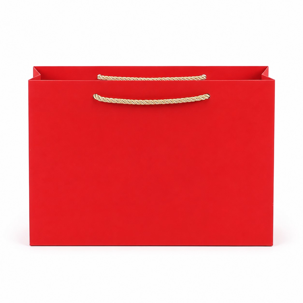Reinforced 210 GSM Paper Shopping Bag — view 2