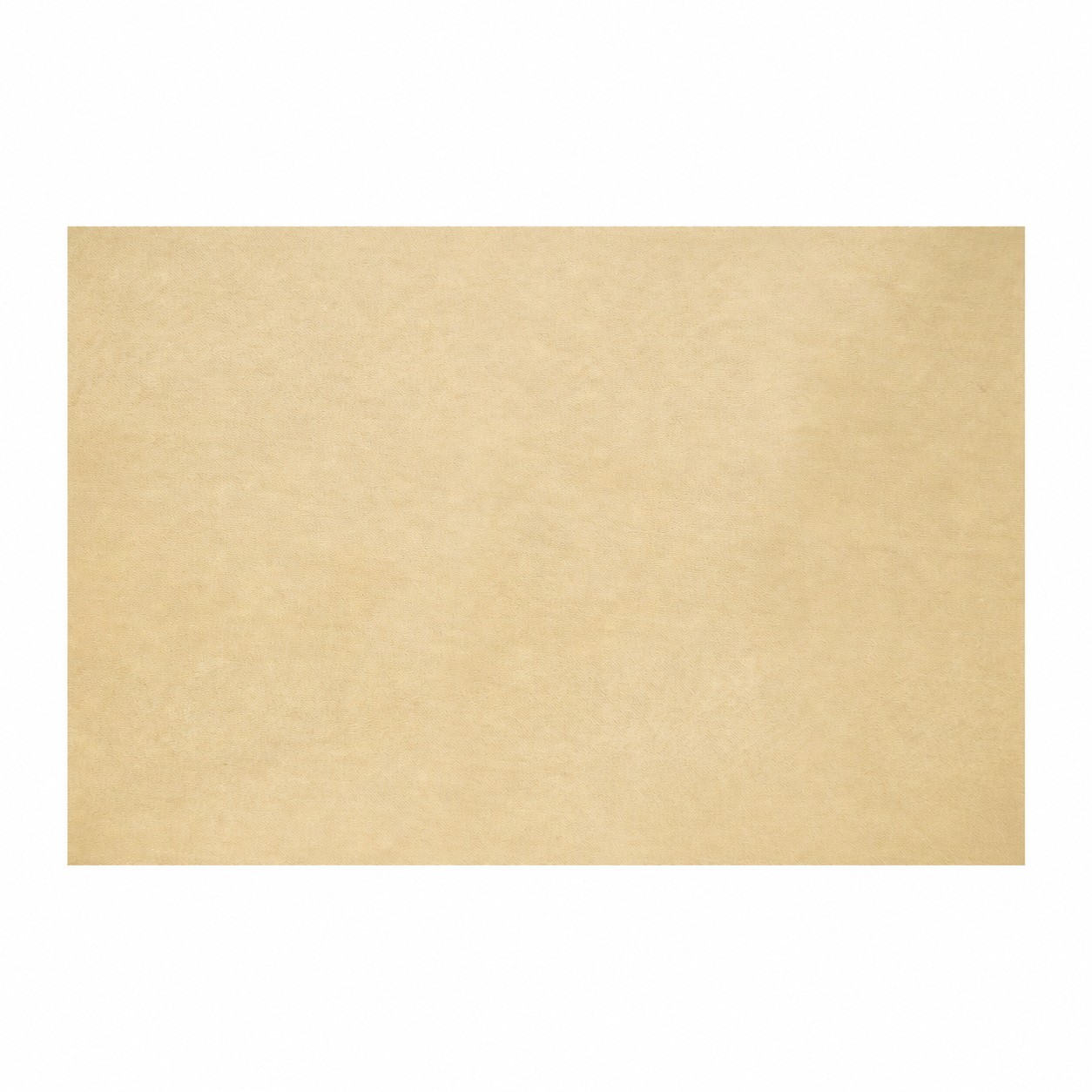 19 Momme Silk Pillowcase — Champagne Gold