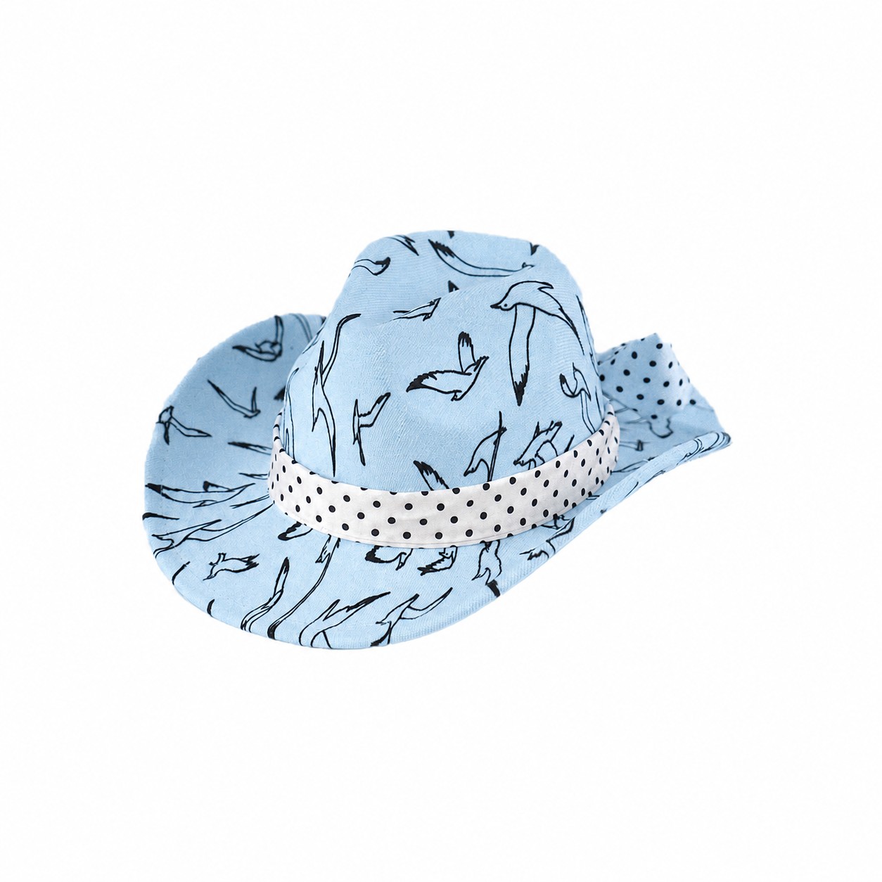 Bird Print Wide Brim Fedora Hat — Sky Blue