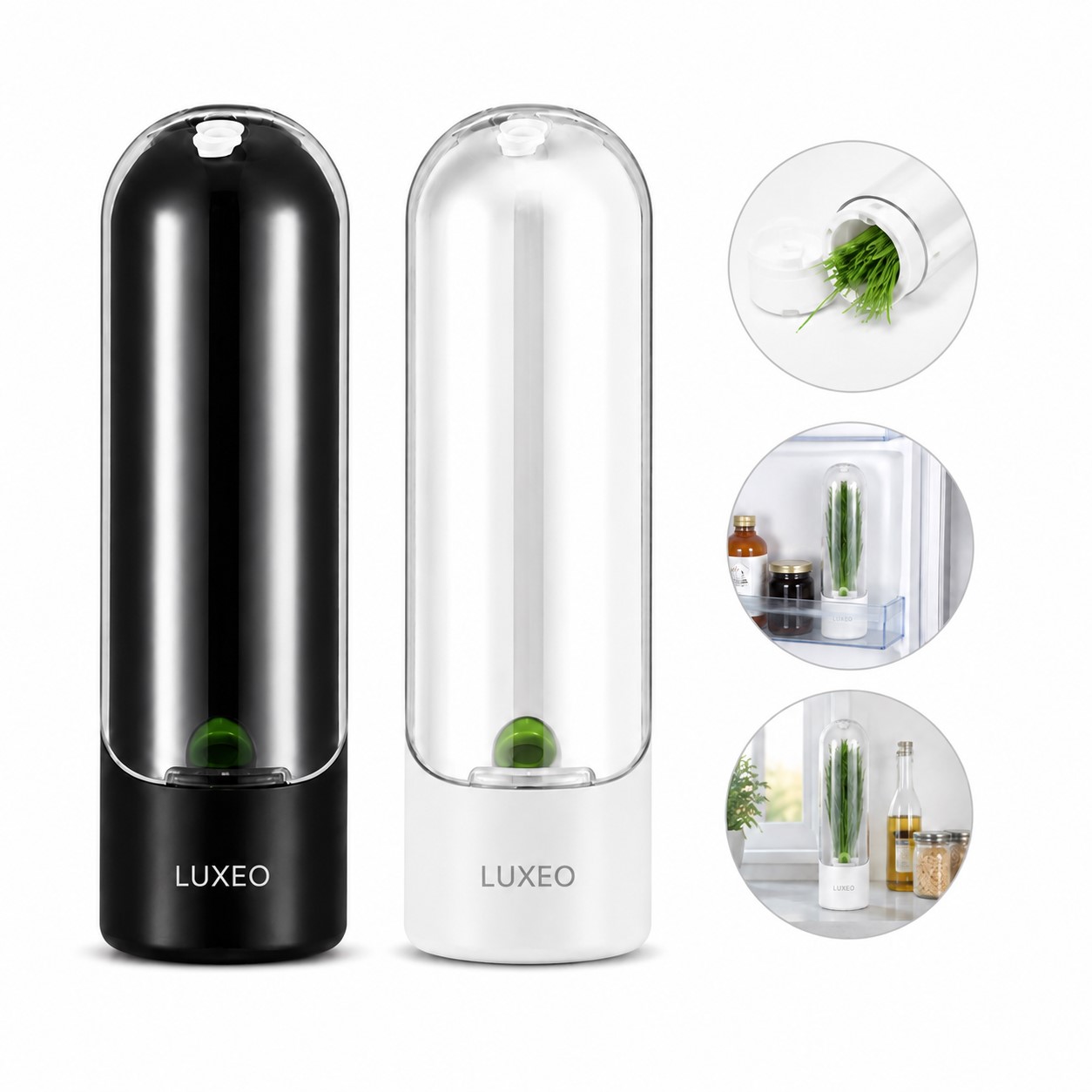 Upright Polypropylene Herb Freshness Container