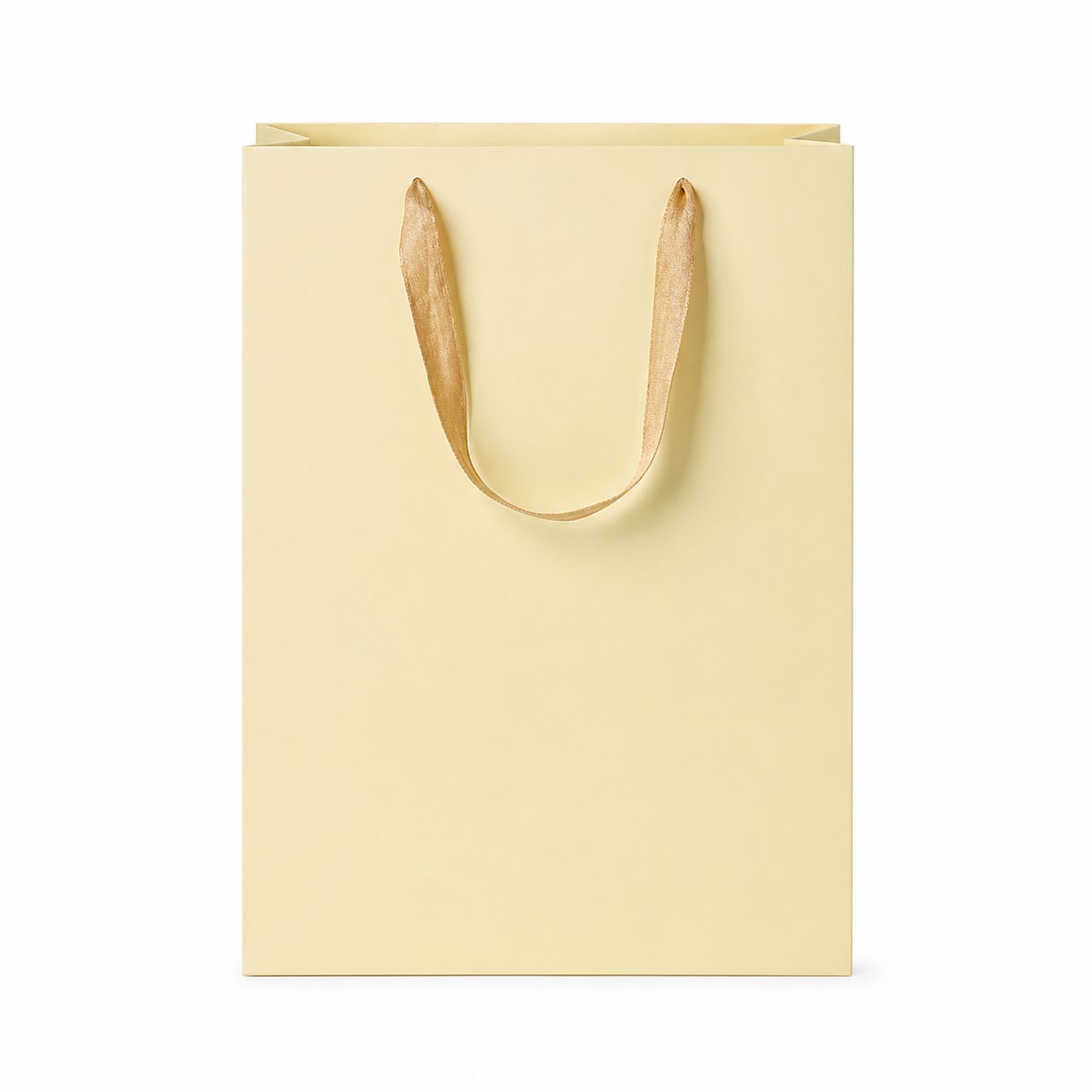 Matte Laminated Paper Euro Tote — view 2