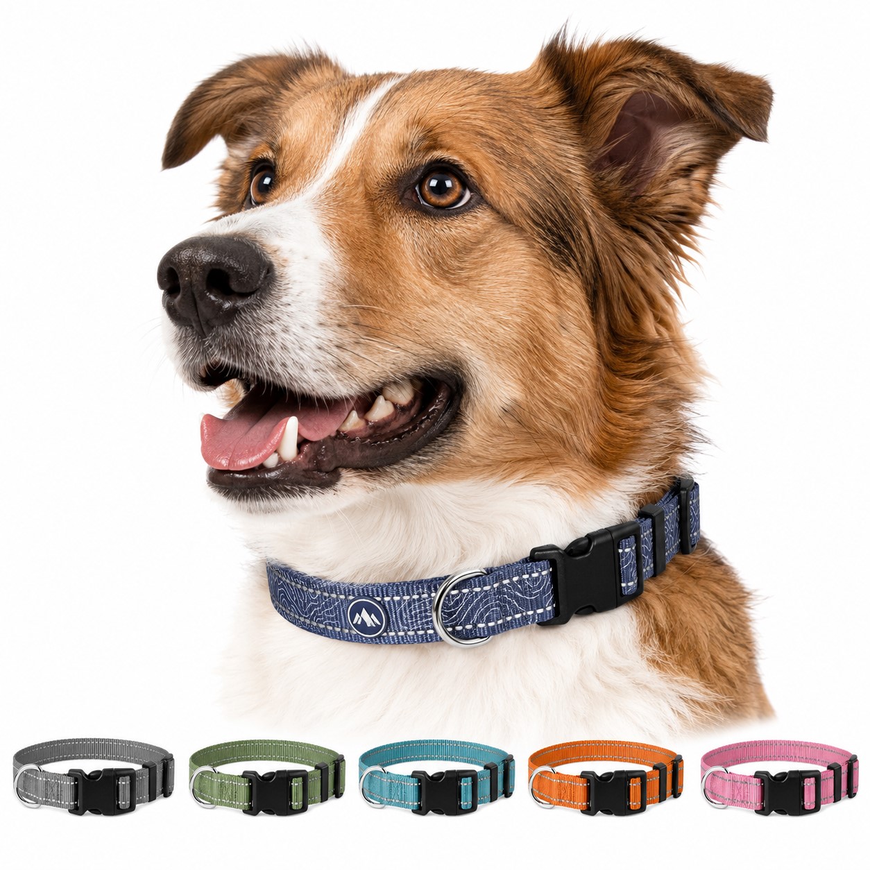 Adjustable Reflective Nylon Dog Collar