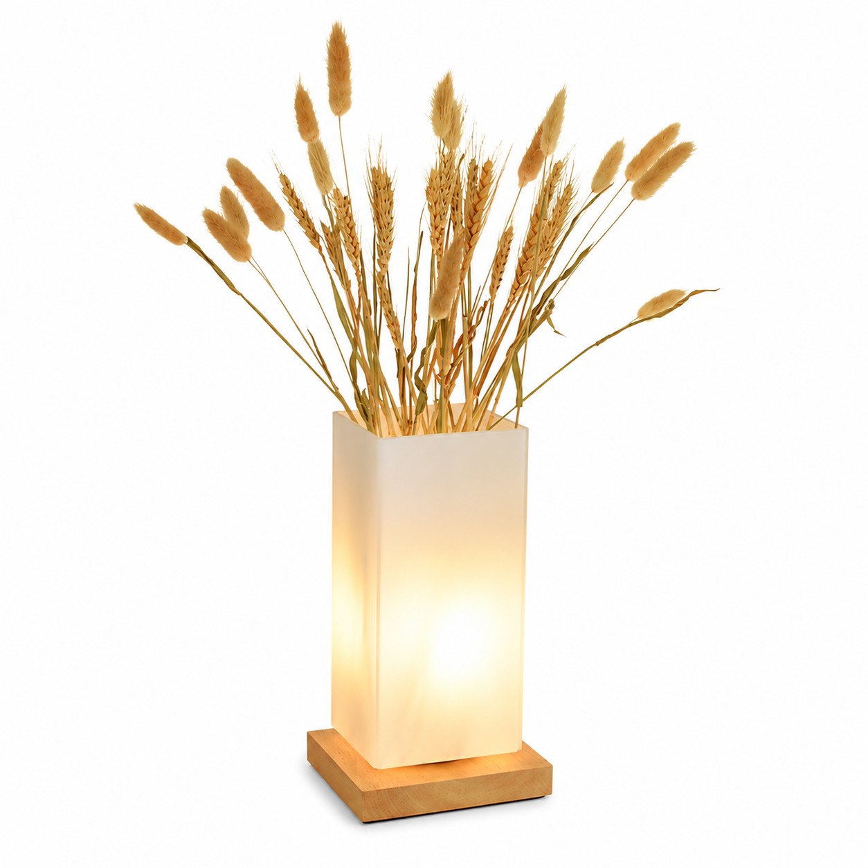 Frosted Glass LED Table Lamp