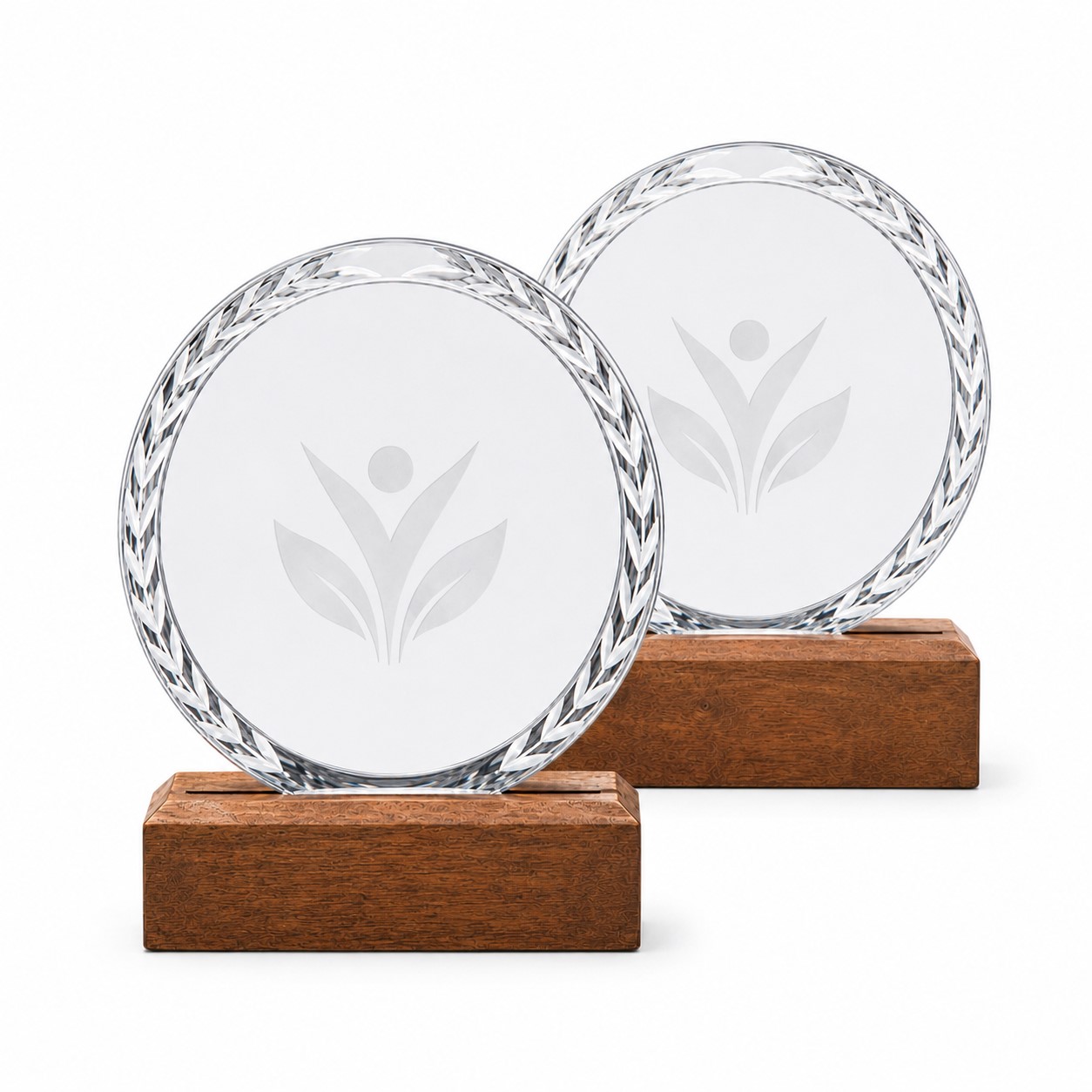 Circular Crystal Glass Trophy With Wood Stand