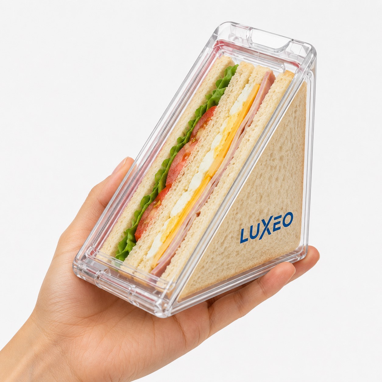 Clear Plastic Triangular Sandwich Container